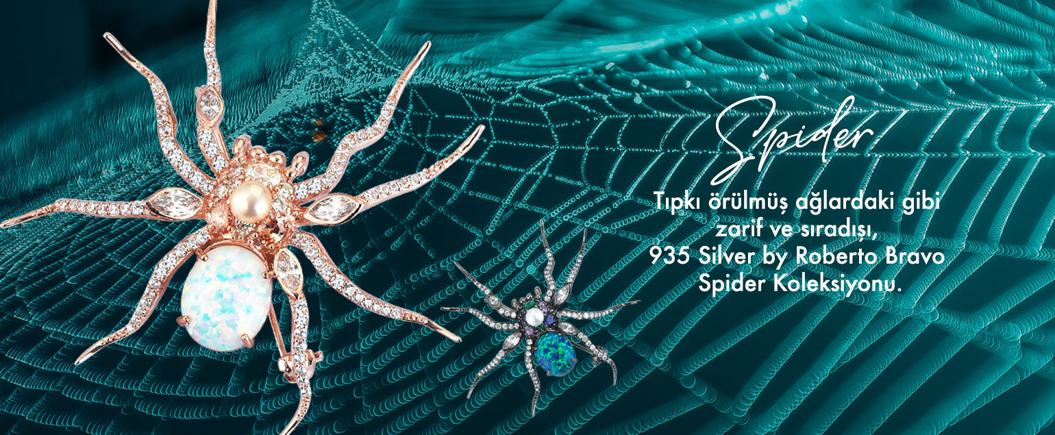 Roberto Bravo Gümüş Spider Koleksiyon Ürünleri